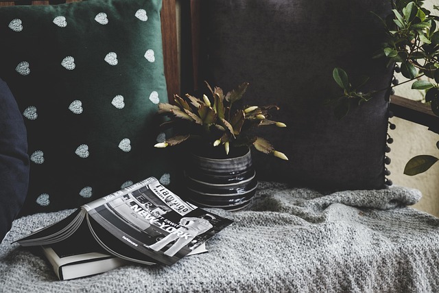 Couverture de livre & coussins
