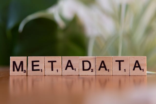 Scrable : "Metadata" pour illustrer les métadonnées en généalogie