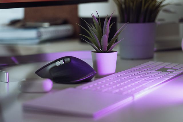 Clavier et souris pour parler des logiciels utilisés pour transmettre sa généalogie
