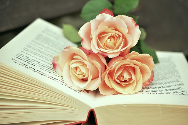 Quoi mettre dans l'introduction de son livre de famille